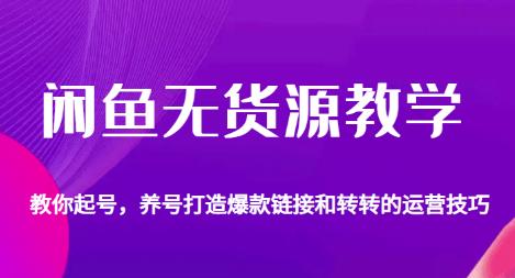 闲鱼无货源教学，教你起号，养号打造爆款链接以及转转的运营技巧-氢气球网创资源库