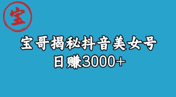 宝哥揭秘抖音美女号玩法，日赚3000+【揭秘】-氢气球网创资源库
