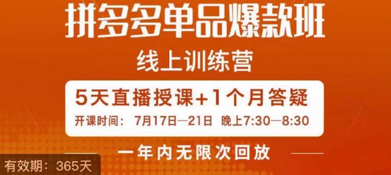 钟辰·拼多多单品爆款班，一个拼多多超级爆款养一个团队-氢气球网创资源库