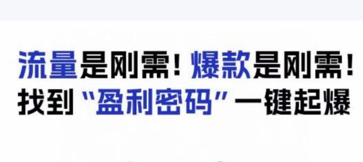 电商盈利精品课：6大盈利密码让产品更好卖，流量是刚需！爆款是刚需！找到”盈利密码”一键起爆-氢气球网创资源库