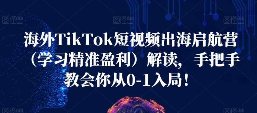 海外TikTok短视频出海启航营（学习精准盈利）解读，手把手教会你从0-1入局！-氢气球网创资源库