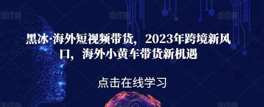 黑冰·海外短视频带货，2023年跨境新风口，海外小黄车带货新机遇-氢气球网创资源库