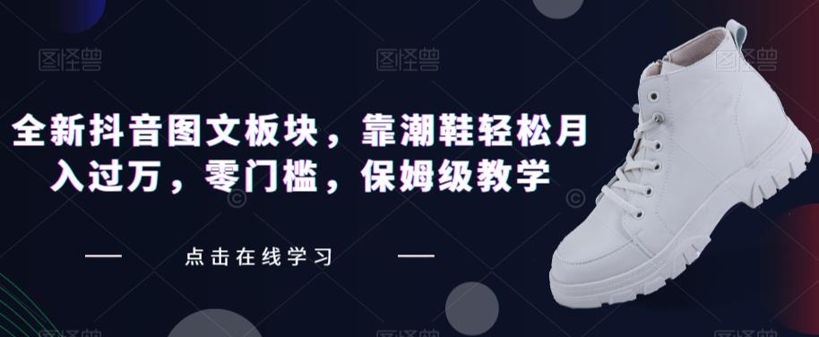 全新抖音图文板块，靠潮鞋轻松月入过万，零门槛，保姆级教学【揭秘】-氢气球网创资源库
