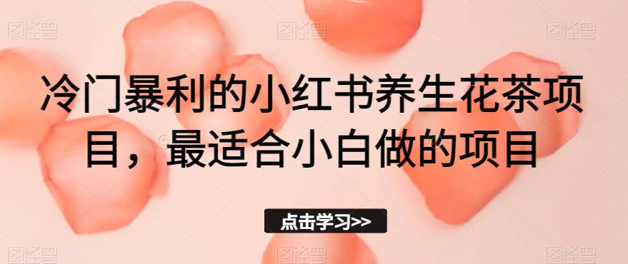 冷门暴利的小红书养生花茶项目，最适合小白做的项目【揭秘】-氢气球网创资源库