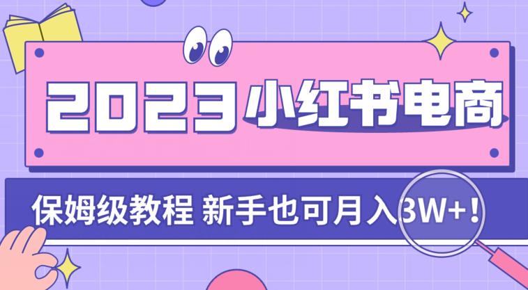 阿本小红书电商陪跑营4.0，带大家从0到1把小红书做起来-氢气球网创资源库