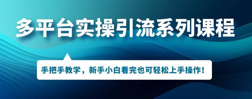 多平台引流实操系列课程，新手小白看完也可轻松上手进行引流操作-氢气球网创资源库