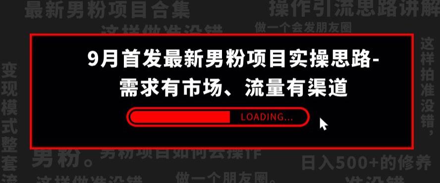 9月首发最新男粉项目实操思路-需求有市场，流量有渠道【揭秘】-氢气球网创资源库