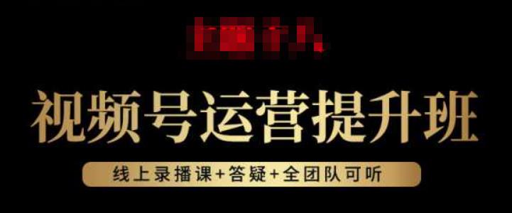 视频号运营提升班：视频号起号逻辑，视频号选品技巧及带货-氢气球网创资源库