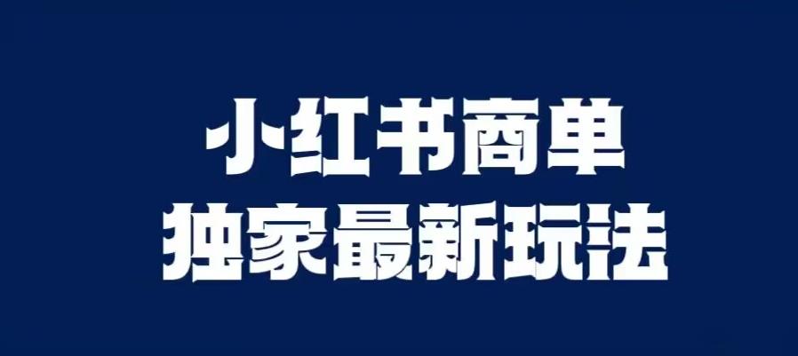小红书商单最新独家玩法，剪辑时间短，剪辑难度低，能批量做号【揭秘】-氢气球网创资源库