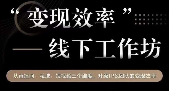变现效率线下工作坊，从‮播直‬间、私域、‮视短‬频‮个三‬维度，升级IP和团队变现效率-氢气球网创资源库
