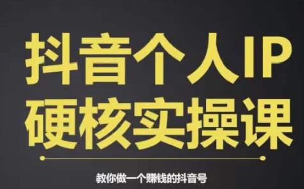 个人IP创富系统实战课，商业定位，流量打造，短视频变现，教你做个赚钱的抖音号-氢气球网创资源库