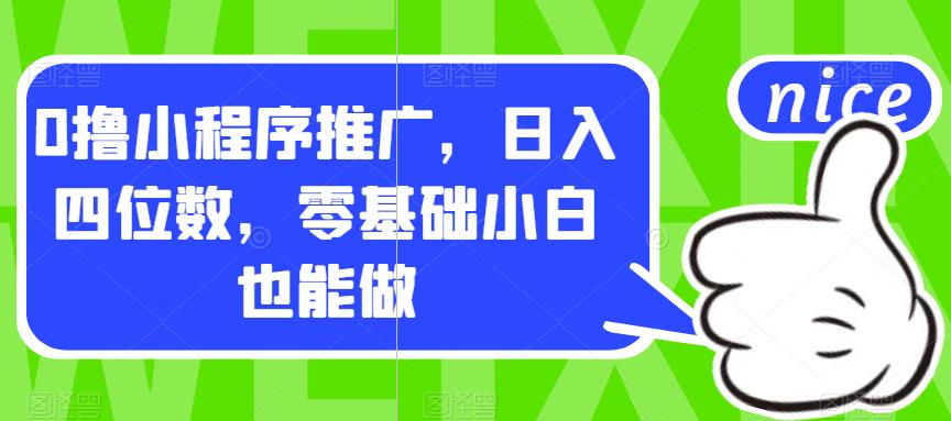 0撸小程序推广，日入四位数，零基础小白也能做【揭秘】-氢气球网创资源库
