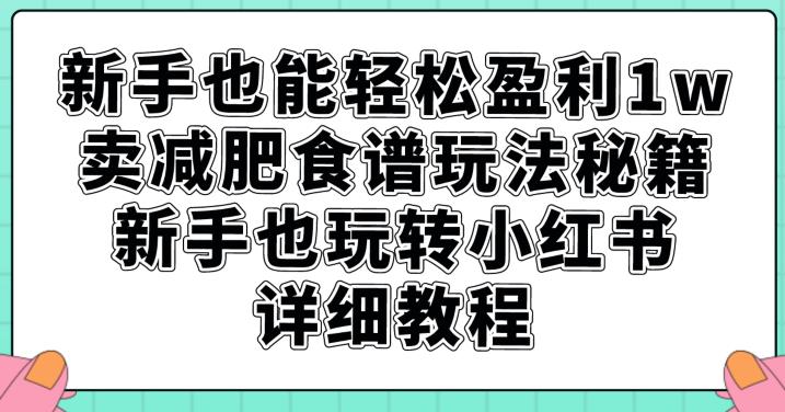 新手也能轻松盈利1w，卖减肥食谱玩法秘籍，新手也玩转小红书详细教程【揭秘】-氢气球网创资源库