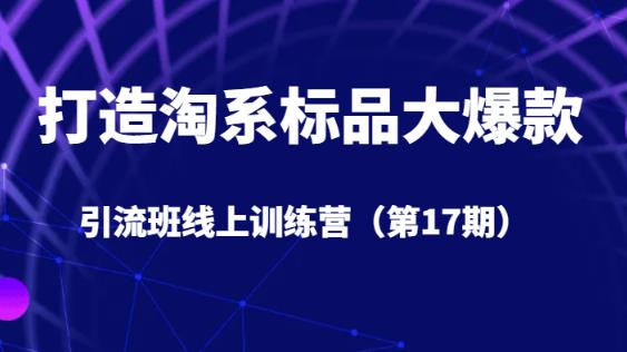打造淘系标品大爆款引流班线上训练营（第17期）5天直播授课-氢气球网创资源库