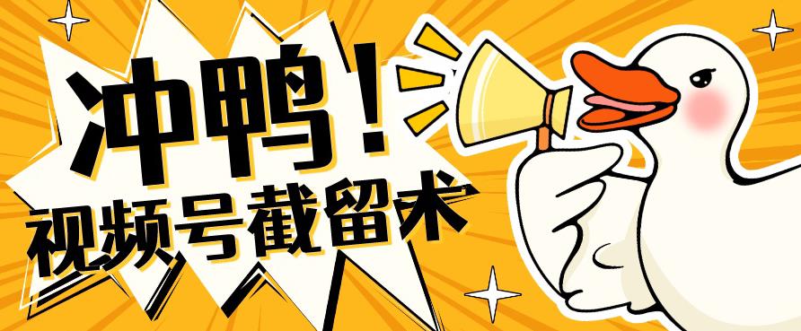 全球首发-视频号无限截留术-你不知道的流量沃土-氢气球网创资源库