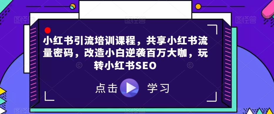 小红书引流培训课程，共享小红书流量密码，改造小白逆袭百万大咖，玩转小红书SEO-氢气球网创资源库