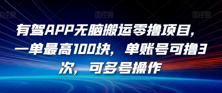 有驾APP无脑搬运零撸项目，一单最高100块，单账号可撸3次，可多号操作【揭秘】-氢气球网创资源库
