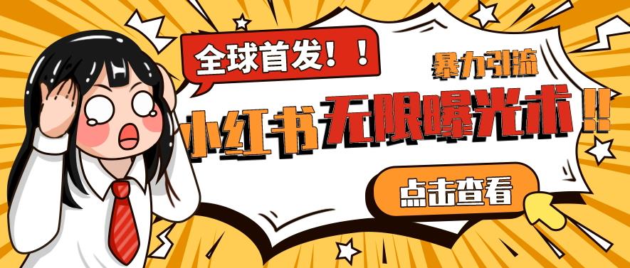 全网首发-小红书无限曝光术pro版全领域粉丝精准拿下-氢气球网创资源库