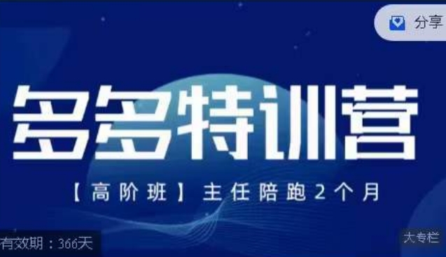 纪主任·多多特训营高阶班【9月13日更新】，拼多多最新玩法技巧落地实操-氢气球网创资源库