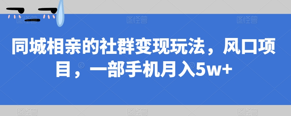 同城相亲的社群变现玩法，风口项目，一部手机月入5w+【揭秘】-氢气球网创资源库