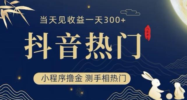 抖音最新小程序撸金，测手相上热门，当天见收益一小时变现300+【揭秘】-氢气球网创资源库