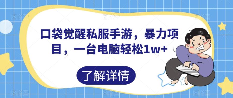 口袋觉醒私服手游，暴力项目，一台电脑轻松1w+【揭秘】-氢气球网创资源库
