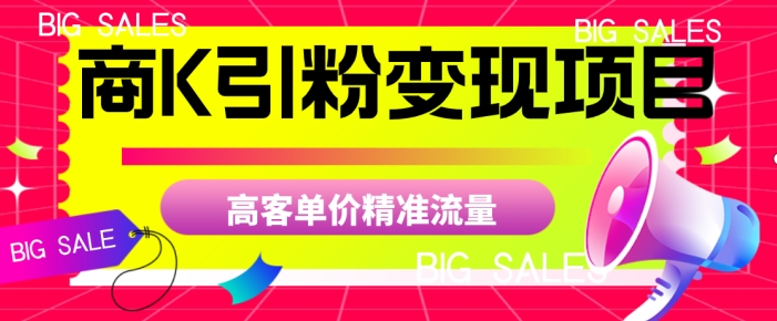 商K引粉变现项目，高客单价精准流量【揭秘】-氢气球网创资源库