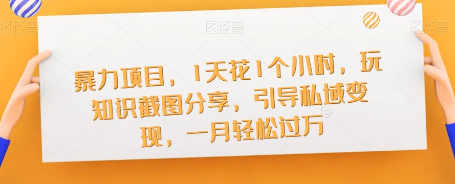 暴力项目，1天花1个小时，玩知识截图分享，引导私域变现，一月轻松过万【截图】-氢气球网创资源库