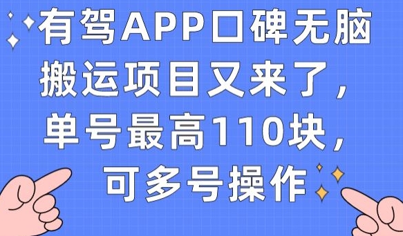 有驾APP口碑无脑搬运项目又来了，单号最高110块，可多号操作-氢气球网创资源库