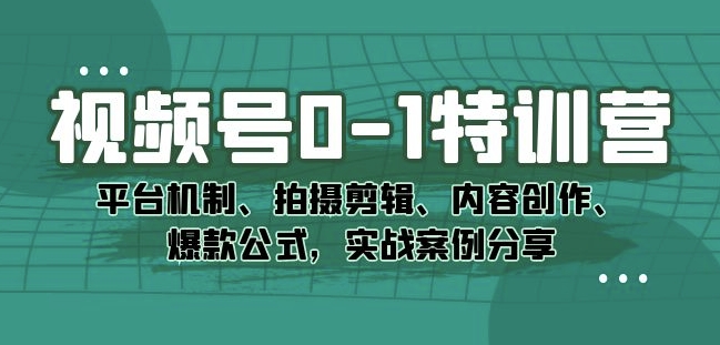 视频号0-1特训营：平台机制、拍摄剪辑、内容创作、爆款公式，实战案例分享-氢气球网创资源库