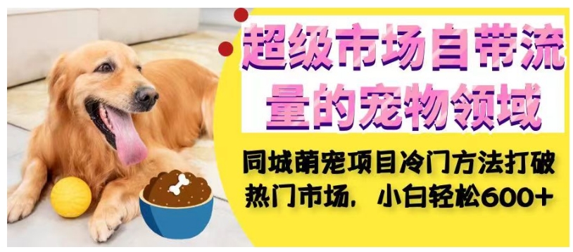 超级市场自带流量的宠物领域，同城萌宠项目冷门方法打破热门市场，小白轻松600+-氢气球网创资源库