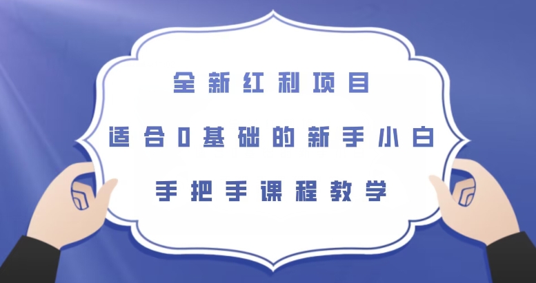 全新红利项目，适合0基础的新手小白，手把手课程教学【揭秘】-氢气球网创资源库