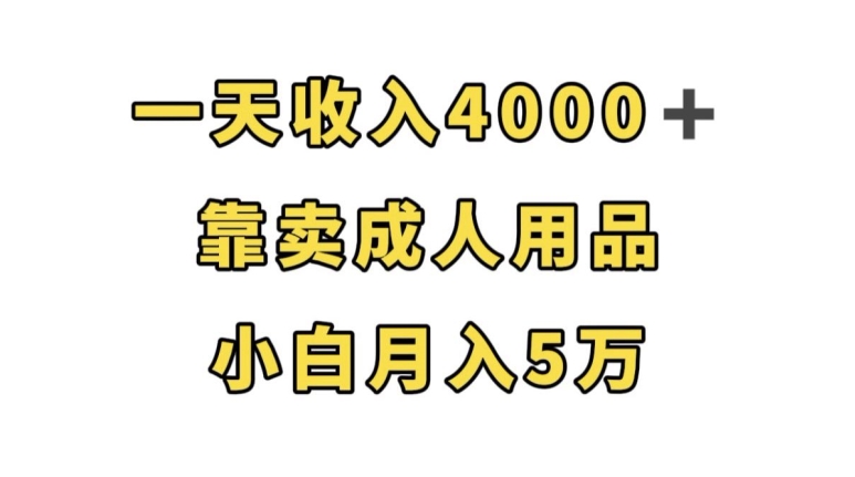 一天收入4000+，靠卖成人用品，小白轻松月入5万【揭秘】-氢气球网创资源库