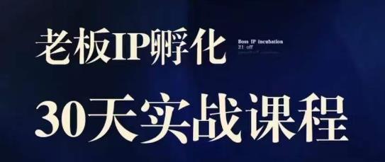 诸葛·2023老板IP实战课，实体同城引流获客，IP孵化必听-氢气球网创资源库