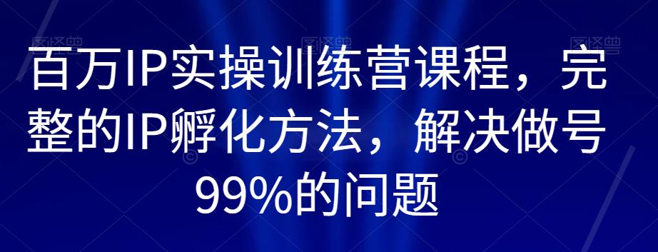 百万IP实操训练营课程，完整的IP孵化方法，解决做号99%的问题-氢气球网创资源库