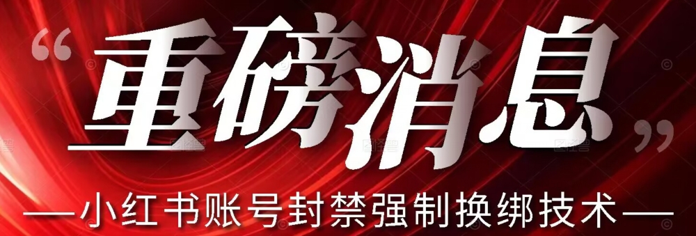 【最新】小红书账号封禁强制换绑技术可日赚300-氢气球网创资源库