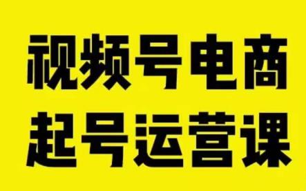 视频号电商起号运营课，教新人如何自然流起号，助力商家0-1突破-氢气球网创资源库