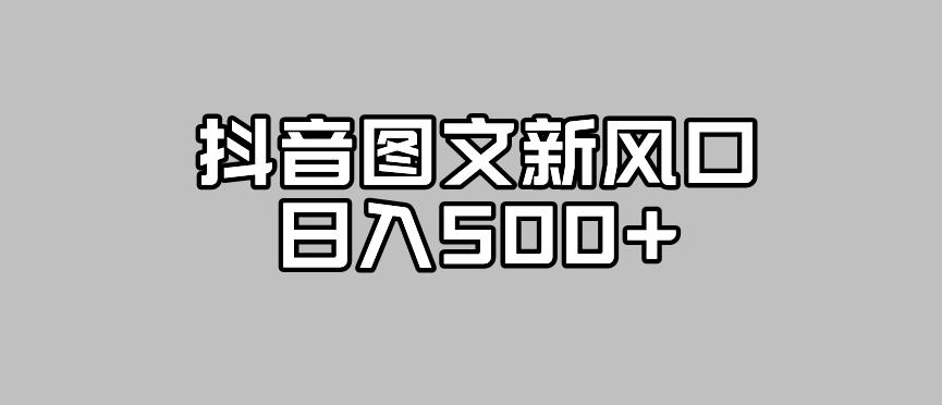 抖音图文最新风口，流量扶持非常高，日入500+【揭秘】-氢气球网创资源库