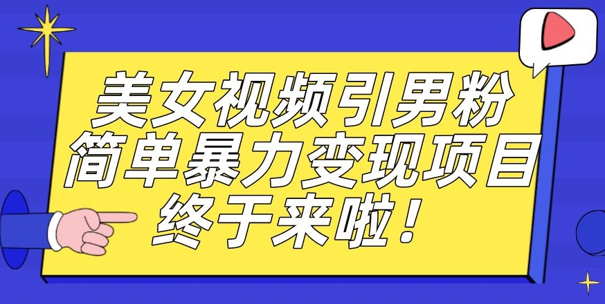 价值3980的男粉暴力引流变现项目，一部手机简单操作，新手小白轻松上手，每日收益500+【揭秘】-氢气球网创资源库