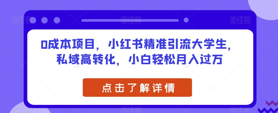 0成本项目，小红书精准引流大学生，私域高转化，小白轻松月入过万【揭秘】-氢气球网创资源库