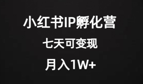 价值2000+的小红书IP孵化营项目，超级大蓝海，七天即可开始变现，稳定月入1W+-氢气球网创资源库