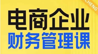 电商企业财务管理线上课，为电商企业规划财税-氢气球网创资源库