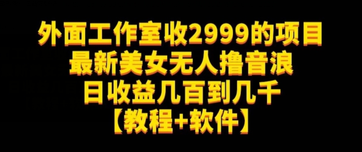 外面工作室收2999的项目最新美女无人撸音浪日收益几百到几千【教程+软件】（仅揭秘）-氢气球网创资源库