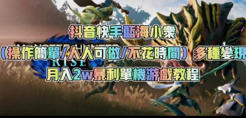 抖音快手蓝海小众（操作简单人人可做不花时间）多种变现月入2w＋暴利单机游戏教程-氢气球网创资源库