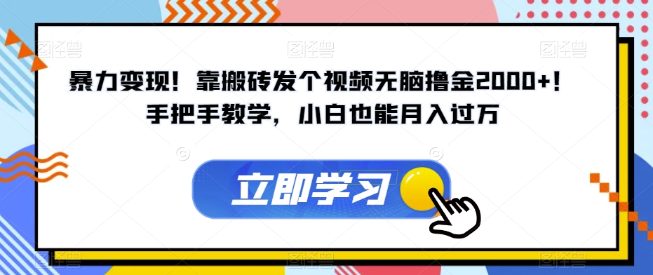 暴力变现！靠搬砖发个视频无脑撸金2000+！手把手教学，小白也能月入过万【揭秘】-氢气球网创资源库