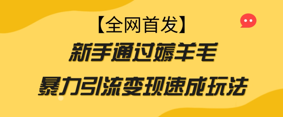 【全网首发】新手通过薅羊毛暴力引流变现速成玩法-氢气球网创资源库