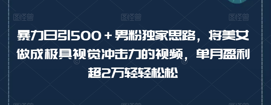 暴力日引500＋男粉独家思路，将美女做成极具视觉冲击力的视频，单月盈利超2万轻轻松松-氢气球网创资源库