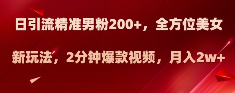 日引流精准男粉200+，全方位美女新玩法，2分钟爆款视频，月入2w+【揭秘】-氢气球网创资源库