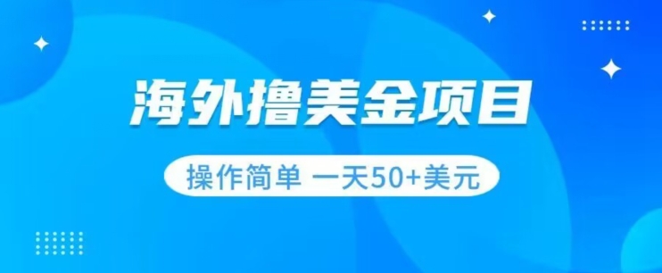 撸美金项目无门槛操作简单小白一天50+美刀-氢气球网创资源库