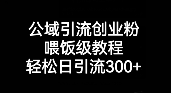 公域引流创业粉，喂饭级教程，轻松日引流300+【揭秘】-氢气球网创资源库